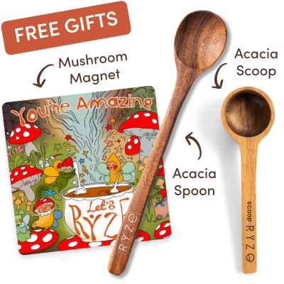 Cocoa Free Gift Bundle