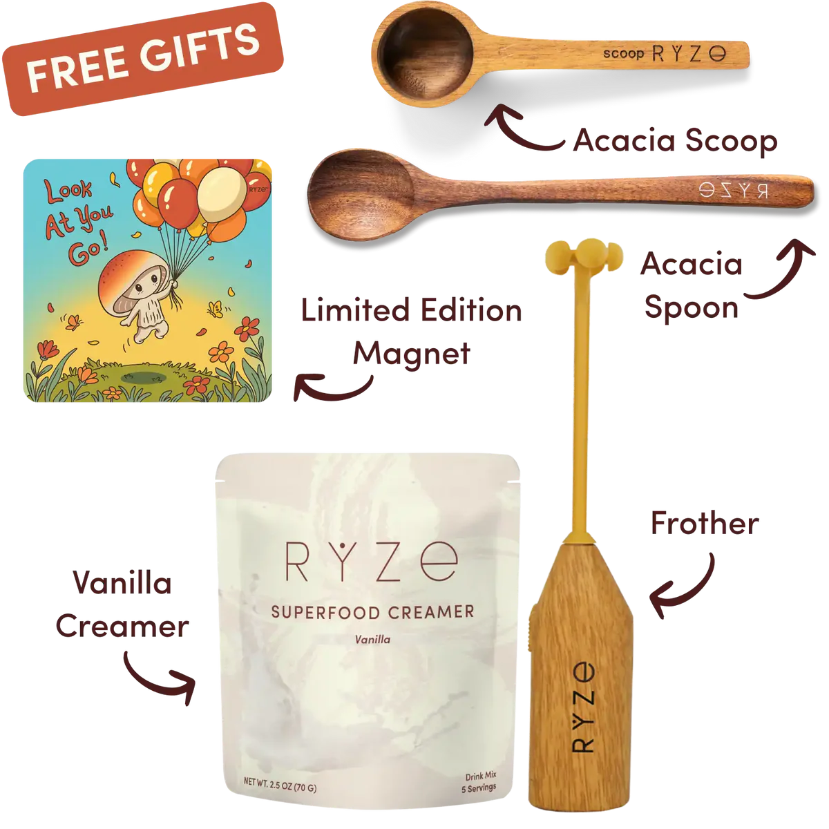 Mushroom Coffee Starter Kit (60 servings) - Modern Coffee Style
